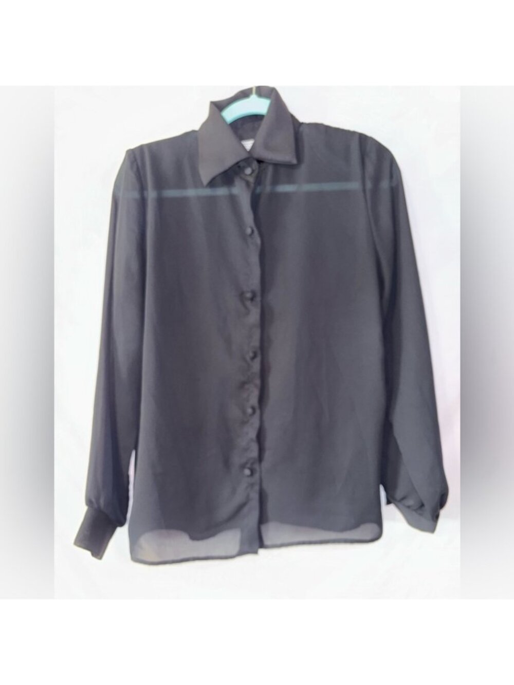 Elegant Black Sheer Blouse
